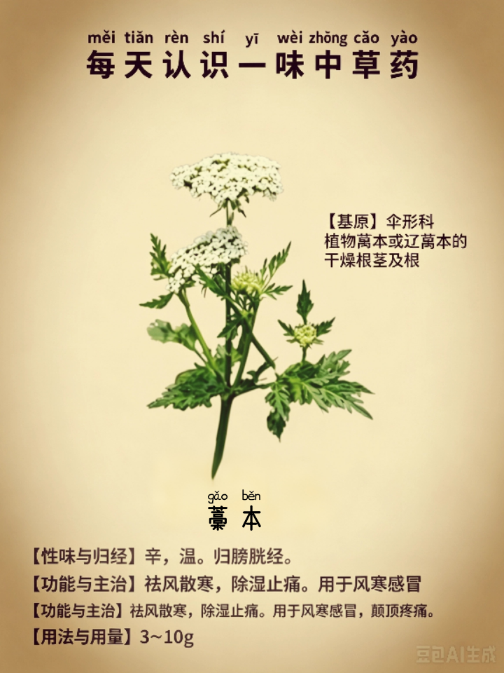 图片编辑加字20260723101350.png