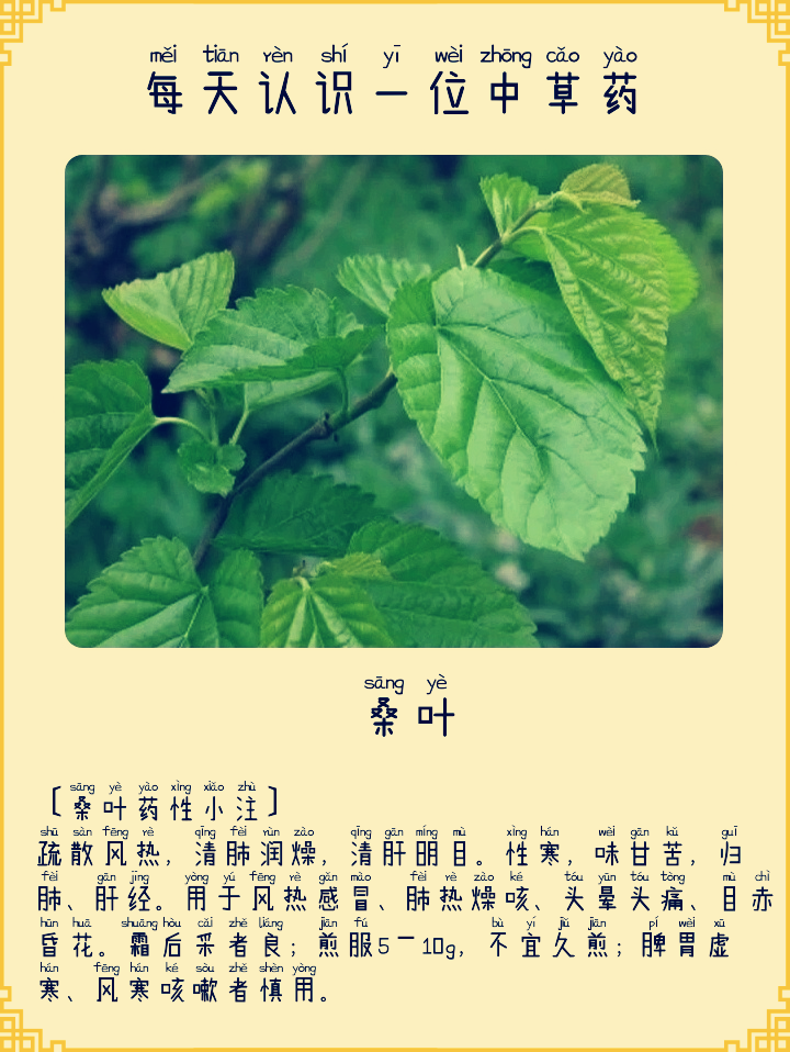 图片编辑加字20260801210626_edit_298254510280083.png