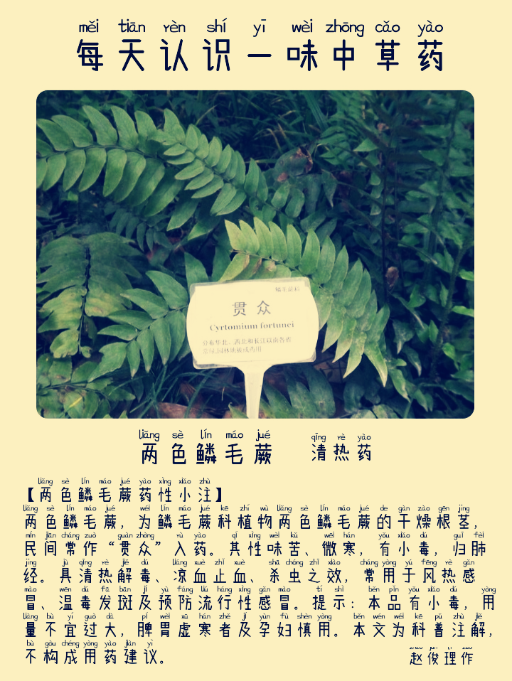 图片编辑加字20260906042313_edit_473974923747480.png