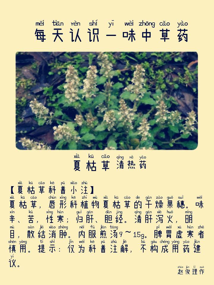 图片编辑加字20260913060921_edit_167160648888578.png